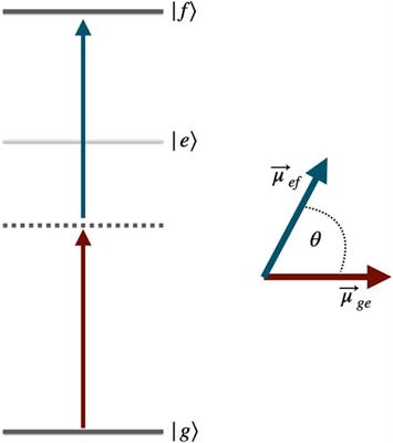 Polarization-Entangled Two-Photon Absorption in Inhomogeneously Broadened Ensembles